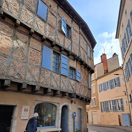 La Perle Bleue - Air Conditioning - Ground Floor Bourg-en-Bresse